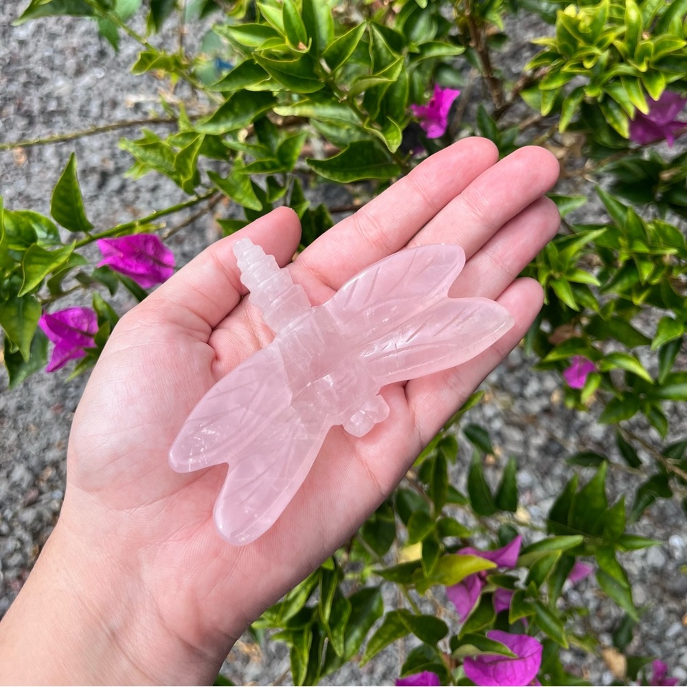 Rose Quartz Dragonfly Carving Crystal